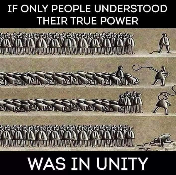 🇵🇸🏴‍☠️🌻TurboKitty🌻🏴‍☠️🇵🇸 tweet media