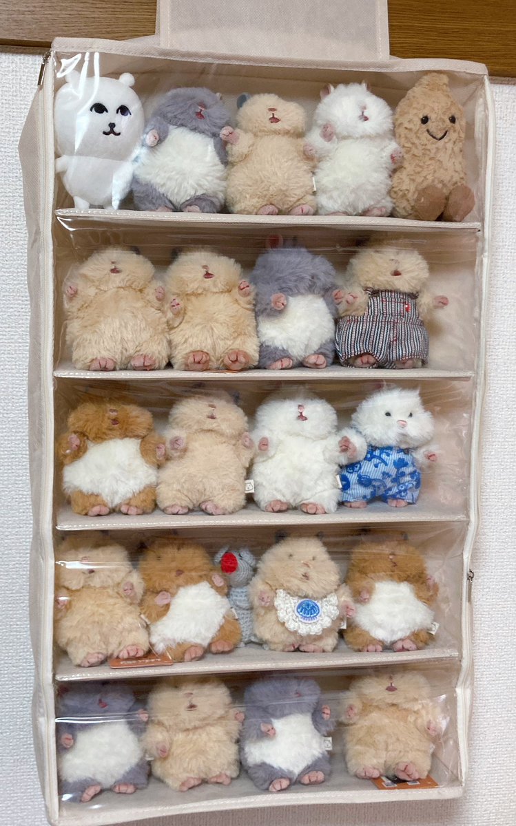 Kinaco_Moci3's tweet photo. 高層はむマンション🐹🐹🐹🏡✨

#はむにぎり https://t.co/ybSncjQK6L