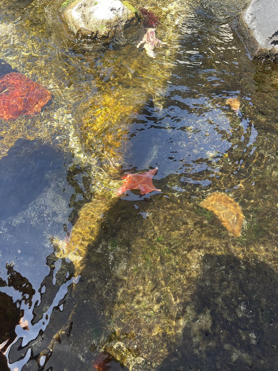 brightinly's tweet photo. blub blub https://t.co/yyTbzhWV0D