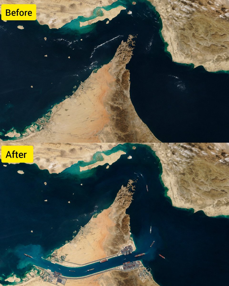 𝙄'𝙢 𝙏𝙤𝙓𝙞𝘾 tweet media