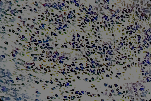 quintinsmiths's tweet photo. Inverting the image I get a lot more than is being shown.  Only works with linear invert and not just invert.  Will try this tomorrow on a raw 50x lens photo.  It seems to have two layers of data to it.  Could just be a false positive and it's highlighting what 50x LWD will see. https://t.co/5STs4COHr3
