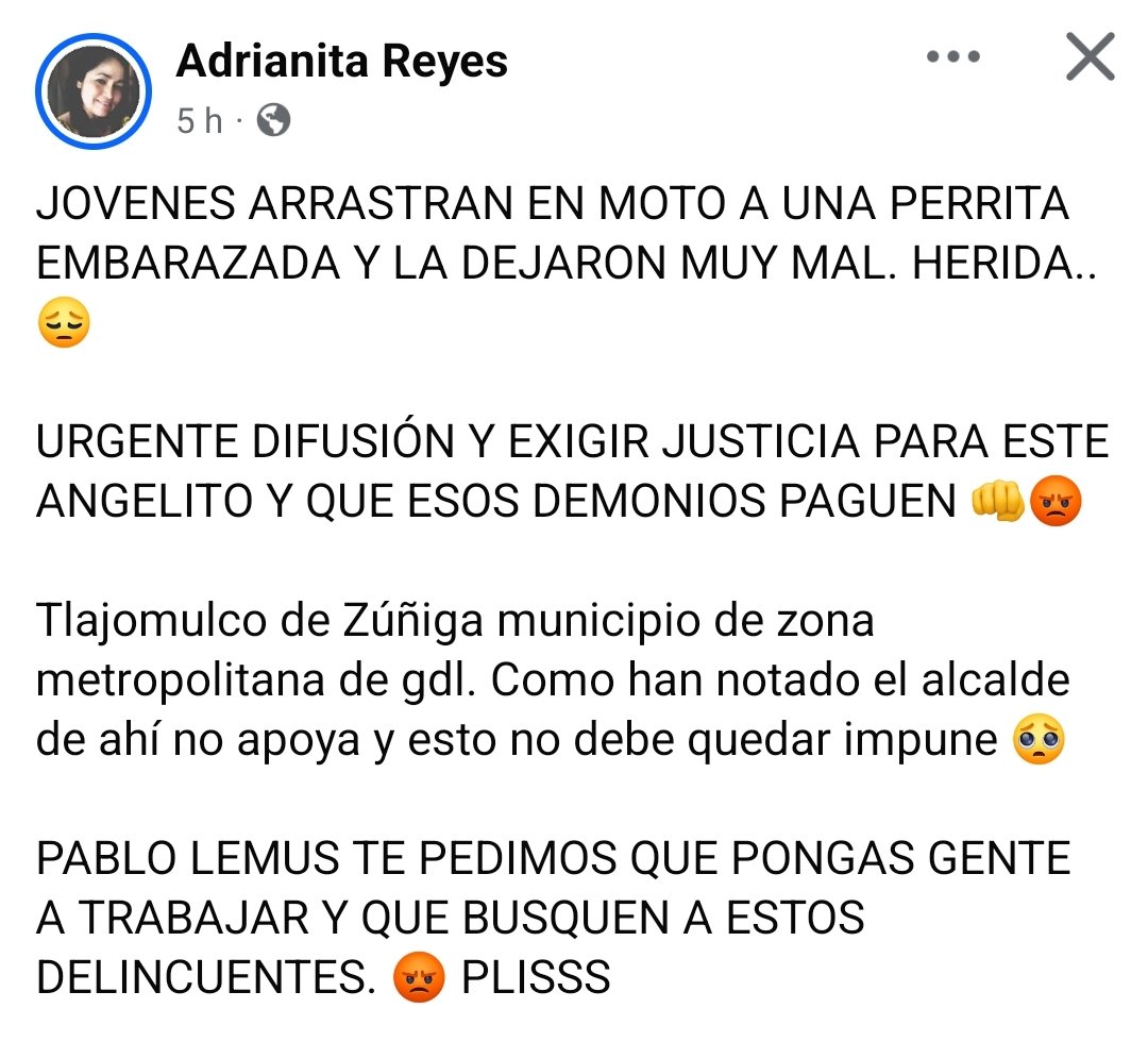 LicAnimalista's tweet photo. Atención @FiscaliaJal urge atención a este asunto #NoticiaCriminal @PabloLemusN https://t.co/kACW5G66WN