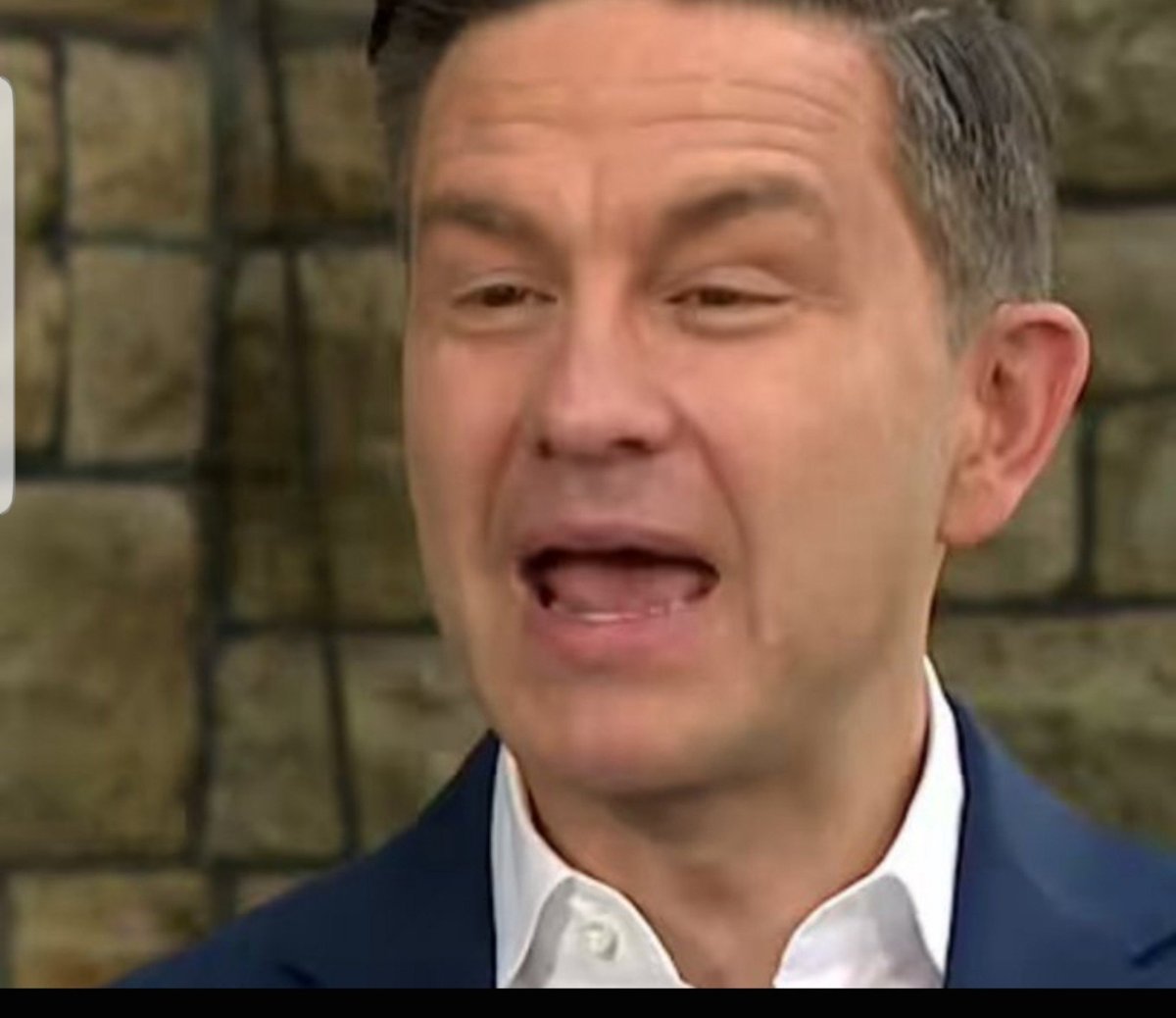 VsDemocracy's tweet photo. @Arrivou The cockeyed flunky @PierrePoilievre will never be allowed to be Prime minister of Canada! Fu ck all ?#ConservativeMSM for giving this corrupt scumbag oxygen! #CanadaisLiberal https://t.co/9gxkmiK6RY