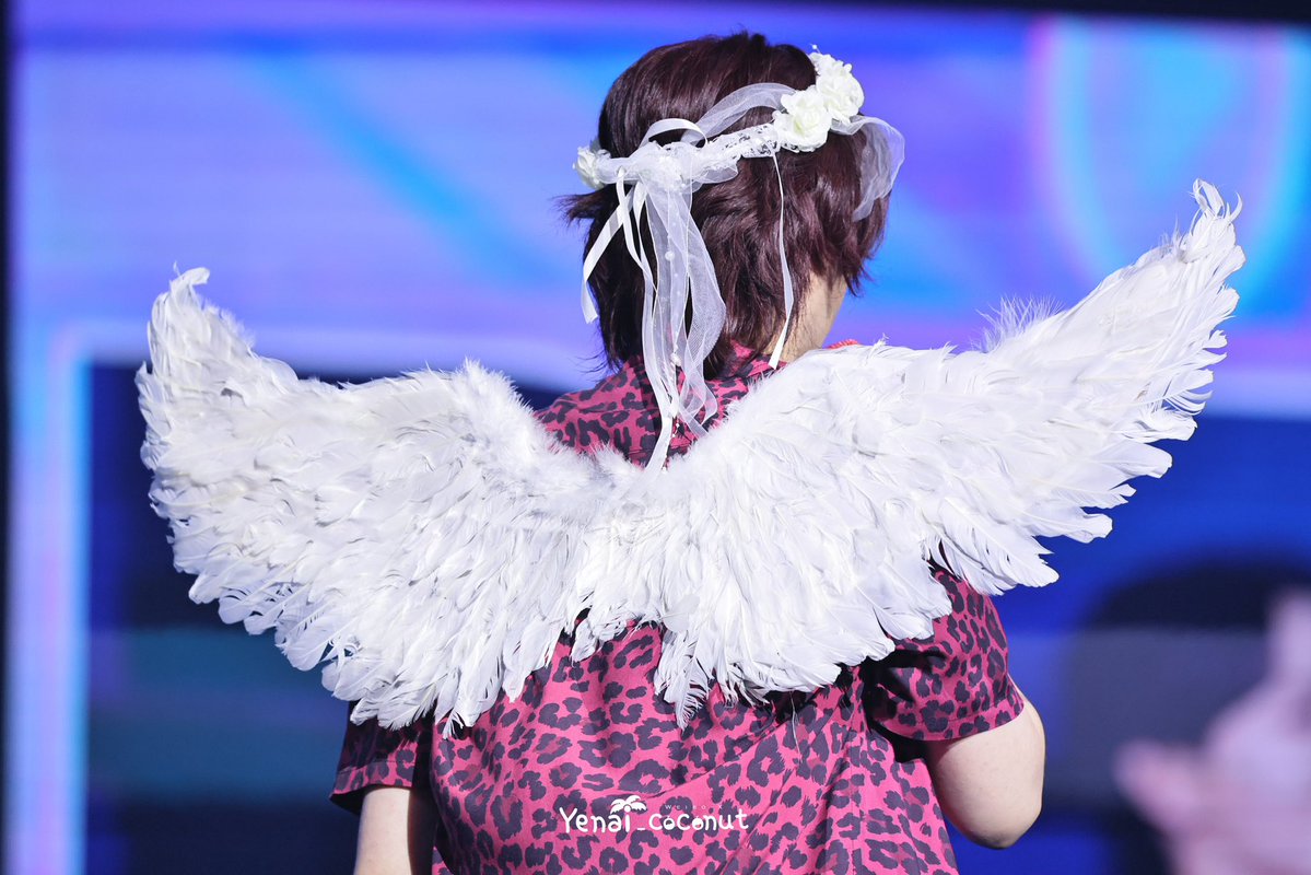 Yenai_coconut's tweet photo. 260725 SJ-83z fancon DAY 2
천사🪽

#superjunior 
#SUPERJUNIOR 
#희철 #김희철 #HEECHUL 
#ヒチョル #金希澈 https://t.co/6HxZURowC5