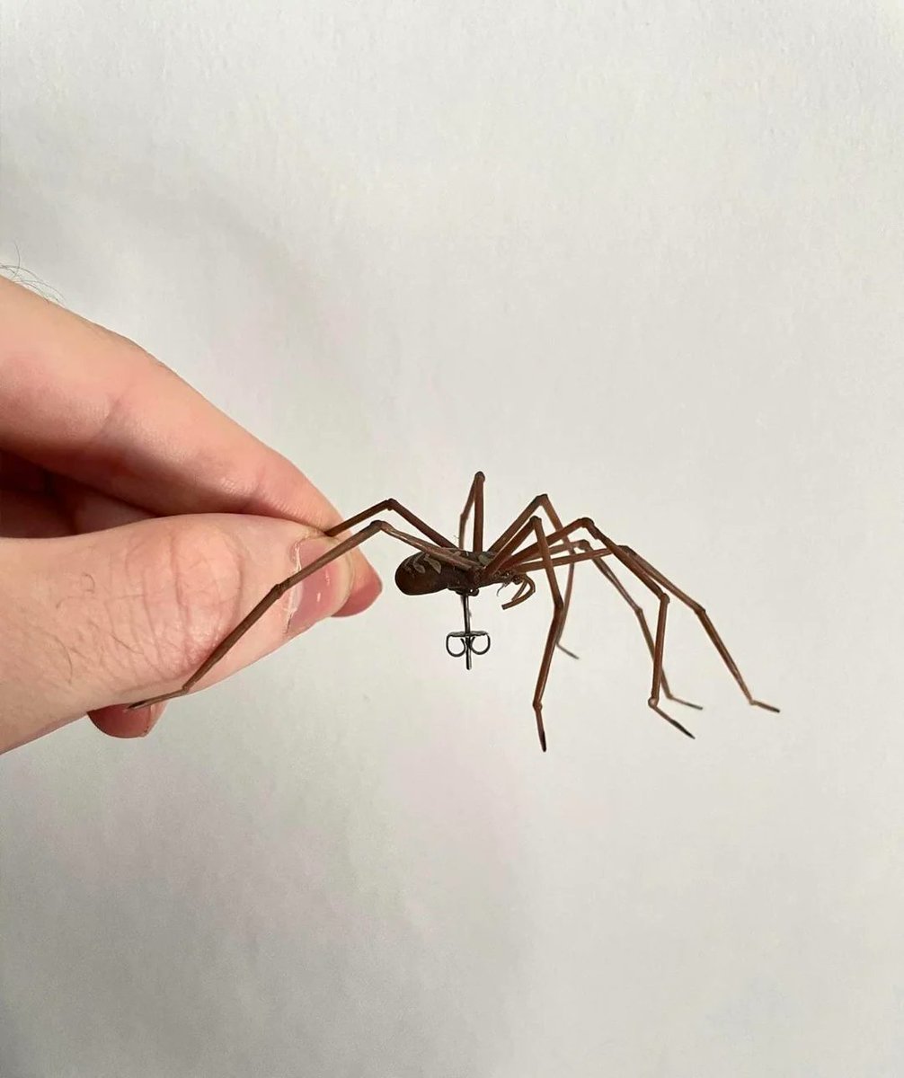 TacitusChrono's tweet photo. I thought it was a real spider for a second. The detail is insane. https://t.co/wnUhOf3FqZ