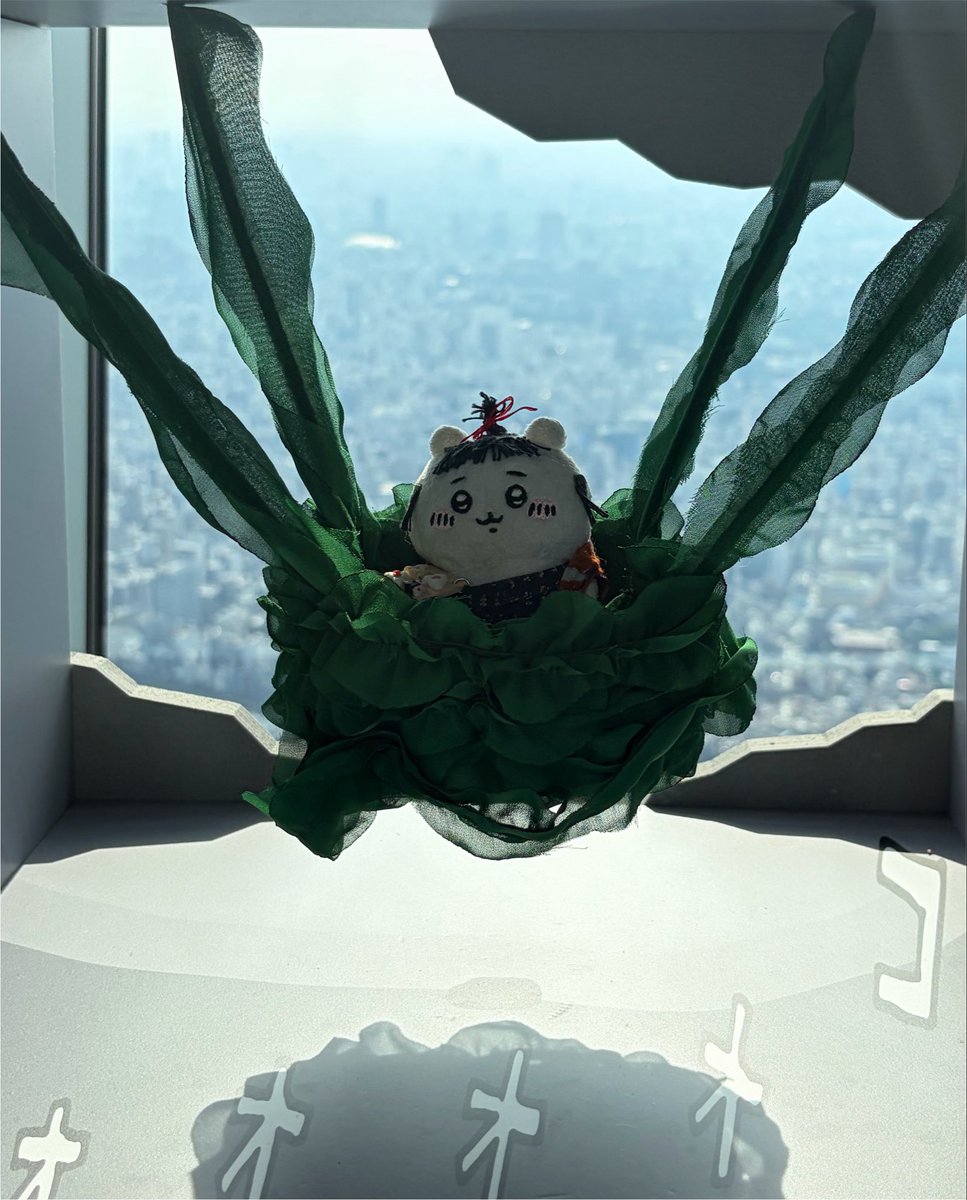 おつう (@pngzFBbdvBLGQ6u) / Posts / X