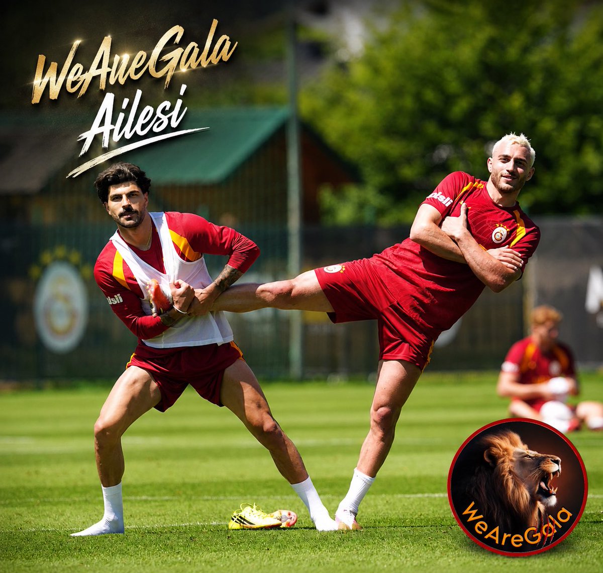 WeAreGala tweet media