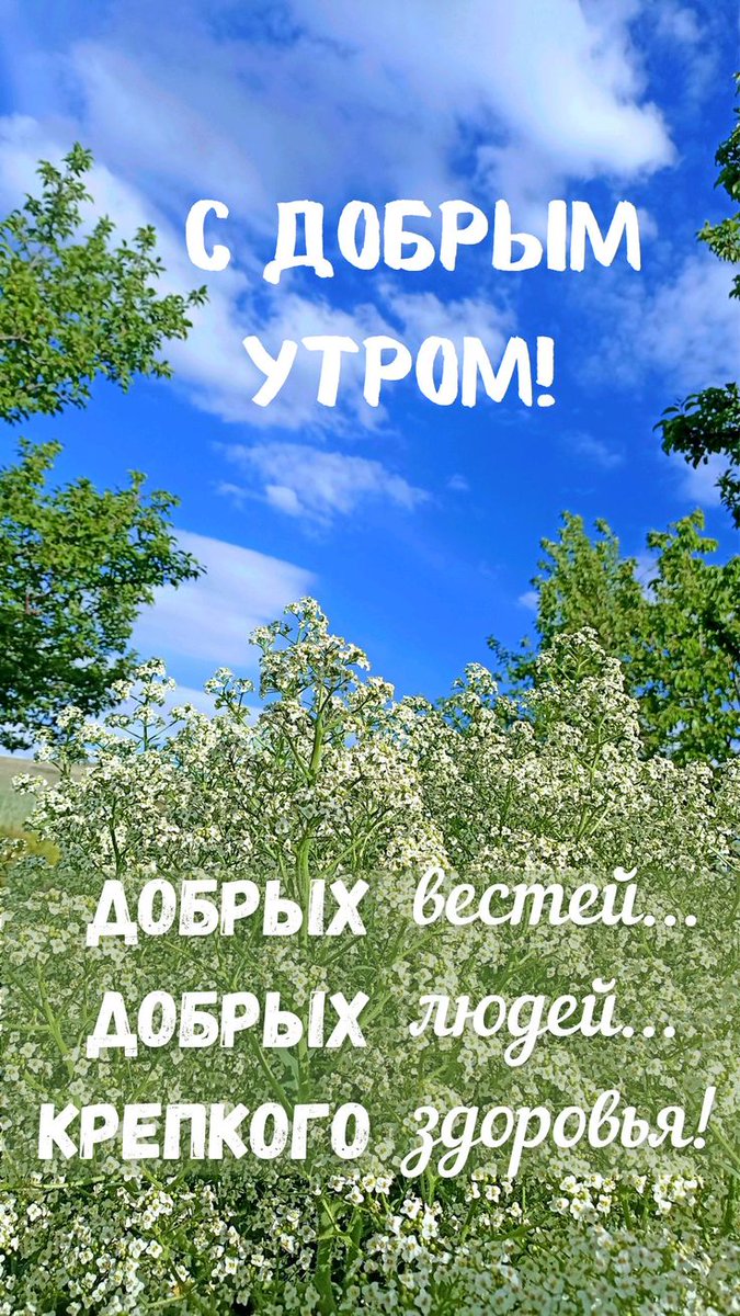 Levonion2's tweet photo. @tascha7722 Доброе утро, Таша!🙏🙂🪷🌼🌸🍃💫 https://t.co/60RFK3gyFE