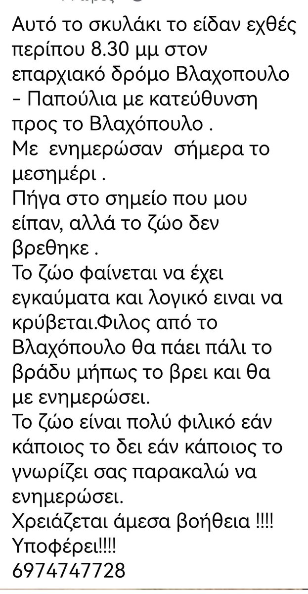Christinalirou2 tweet picture