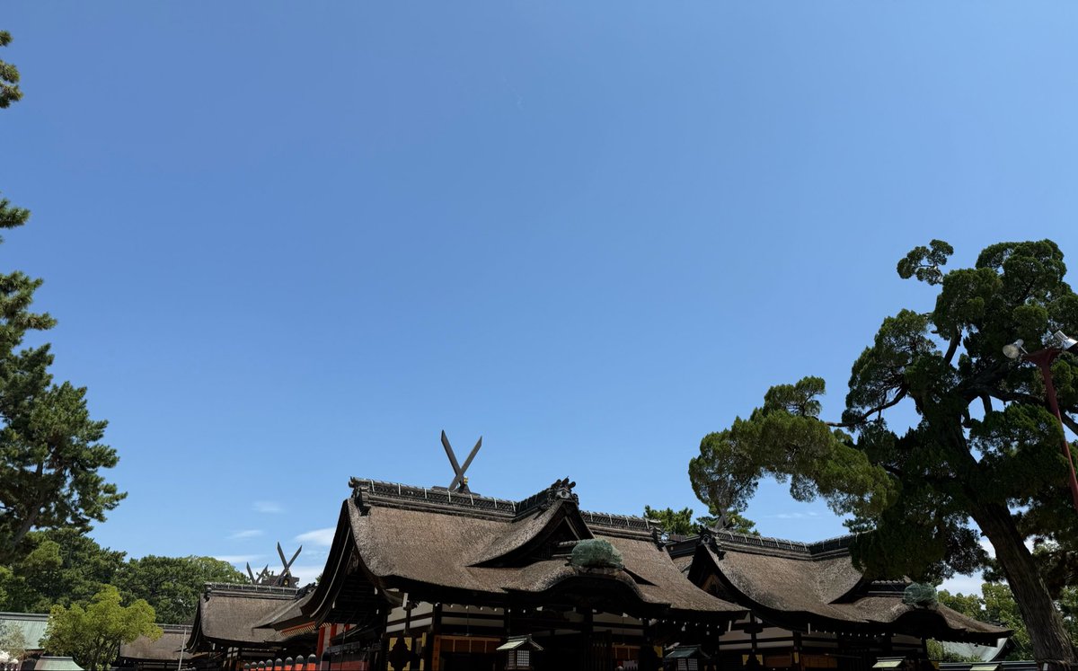 KIRE_NJAI's tweet photo. 住吉大社…お神輿やってた！にしても…暑い！！！ https://t.co/kGxwhPTAKt