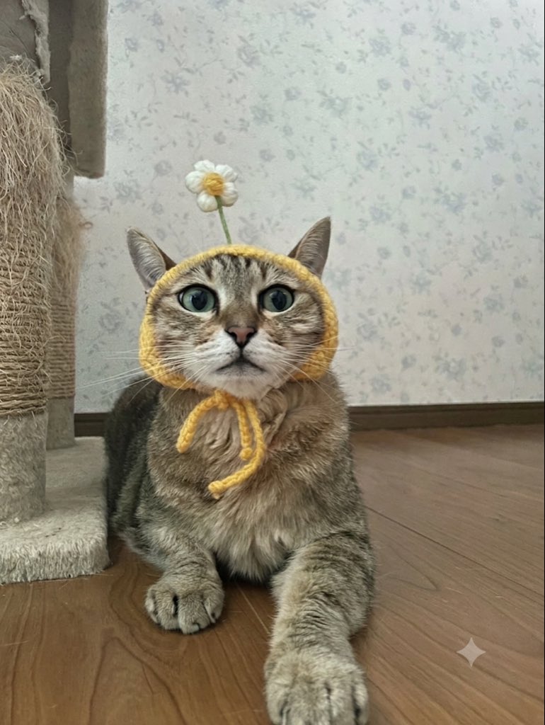 Cq3Yu45963's tweet photo. きゃんわいい😭😭😭🙏 https://t.co/Fpx7rbU3gc