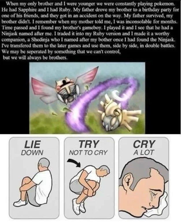 Pokémon Posts tweet media
