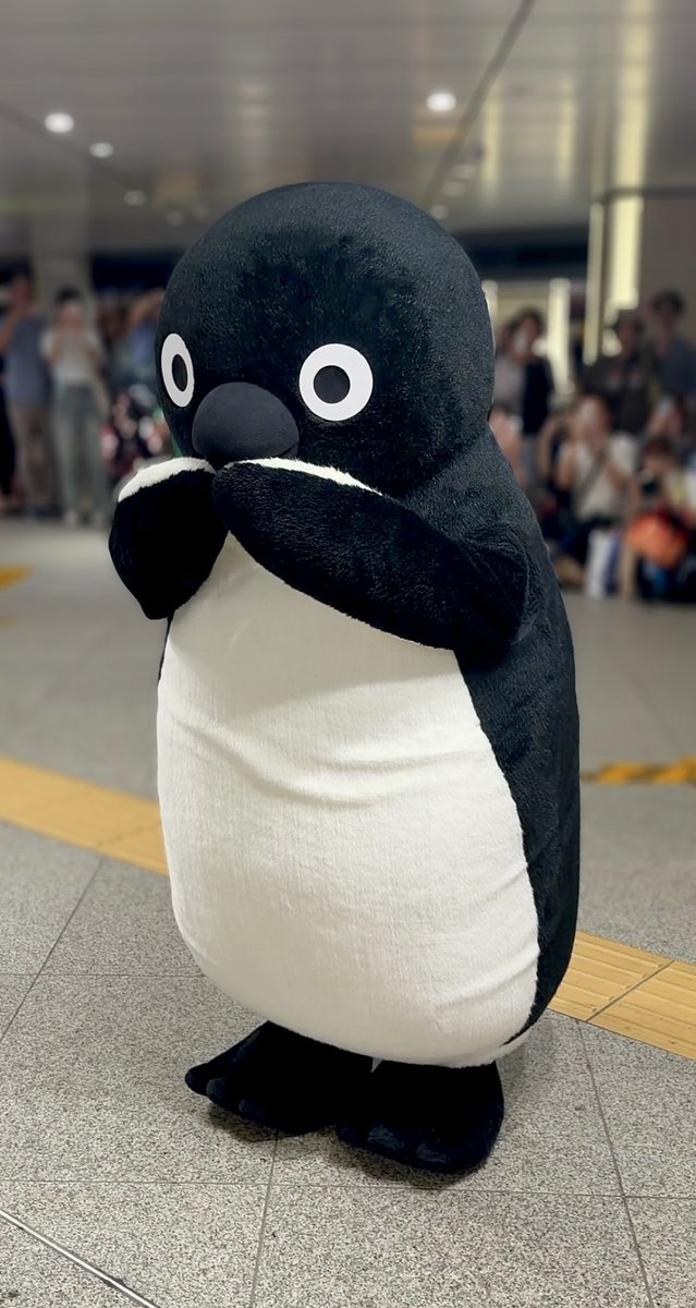 はじめましてしてきた！ 🐧とてもかわわでした🐧 #Suicaのペンギン
