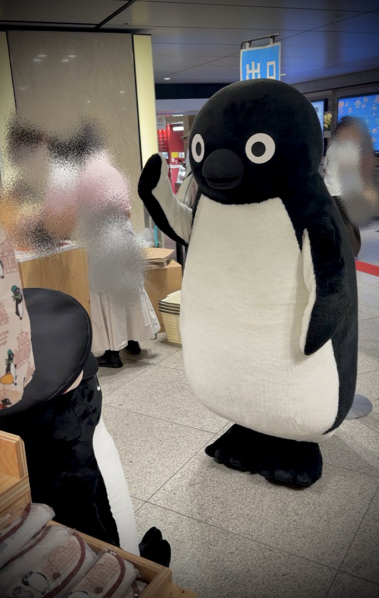 はじめましてしてきた！ 🐧とてもかわわでした🐧 #Suicaのペンギン