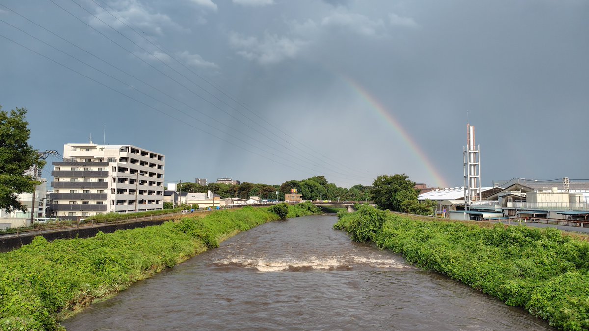nonothuka's tweet photo. 雨止んだ。 https://t.co/hC96Ma7TDW