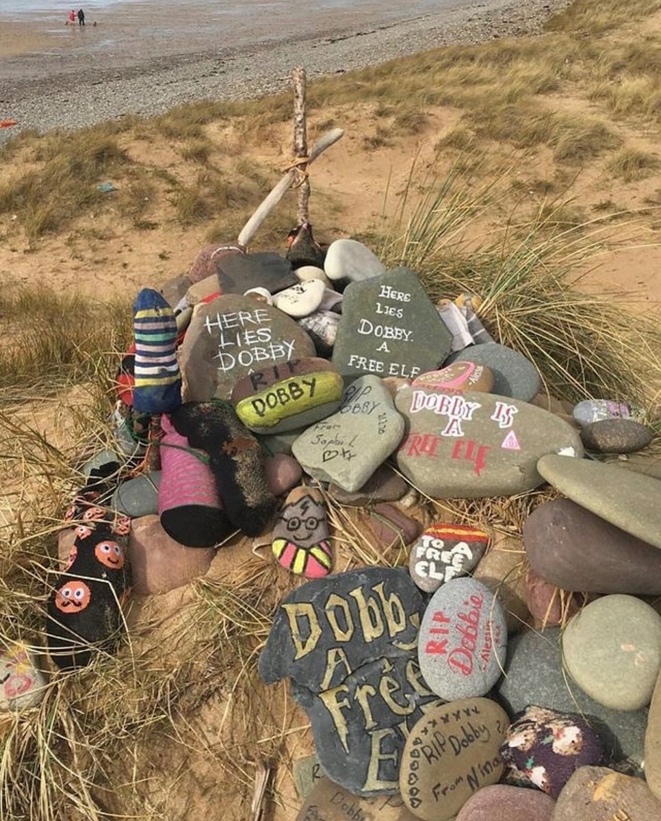 TheDailyHPotter's tweet photo. Dobby's resting place in the UK, Pembrokeshire 🥺 https://t.co/AcXzTL5qEA