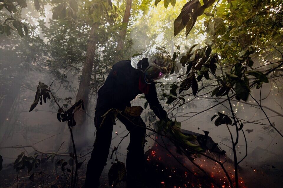 leparisien_92's tweet photo. Hauts-de-Seine : un feu ravage 2 000 mètres carrés en forêt de Meudon
➡️ https://t.co/44TP19RowK https://t.co/pXvjohuJeX