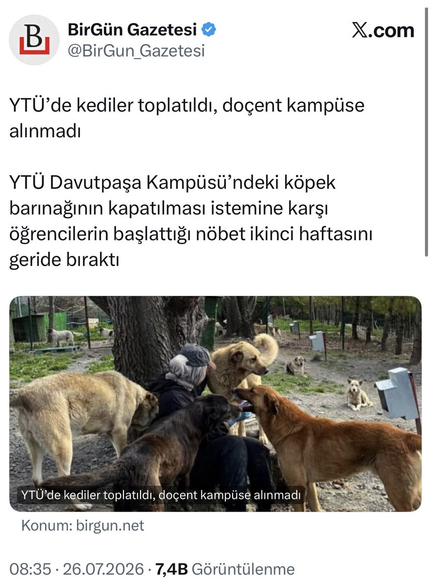 Av_MeltemZorba's tweet photo. ABD’de Gazze saldırılarını eleştiren profesör gözaltına alınarak üniversiteden çıkarılırken bizim akademisyenler de kampüsü kedi köpek barınağına çevirmek için eylem yapıyor!

Başıboş kedi köpeklere kampüs tahsis eden bir “akademia” dünyada görülmemiştir.

Bu arada doçenti kampüse almayan üniversite yönetimini tebrik ediyorum. Bugüne kadar ne yaptınız diyecektim ama neyse.

@YildizEdu