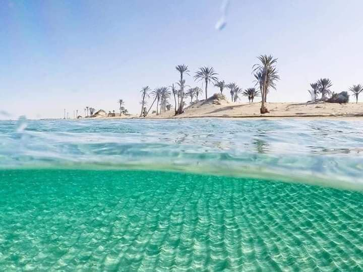 IlhamAlSanous's tweet photo. من قلب الجمال البحري في بلادنا.. لقطة دافية تذكرنا بقيمة الكنوز اللي ربي وهبها لنا 🕊️
#ليبيا_الزينة #أصالة_وانتماء #ليبيا_الجميلة https://t.co/wdagFTiYVf
