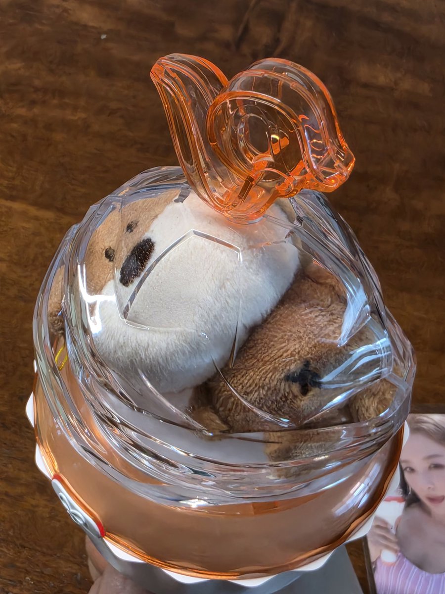 seurrene_'s tweet photo. isn't it too cramped in there? 😭 https://t.co/yr9ioDgNaH