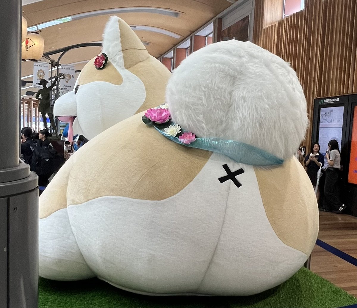 nao70h's tweet photo. 今日は秋田市と大仙市の親戚の家めぐりをしました。7年ぶりの秋田で、懐かしい人にたくさん会えました😭

比内地鶏の親子丼が美味しかった。そして秋田犬のおしりが可愛いすぎた。

私は車の運転が好きだと思った。今は都内でカーシェア利用だけど、やっぱり自分の車が欲しい🥹 https://t.co/nWl0WAQmbt