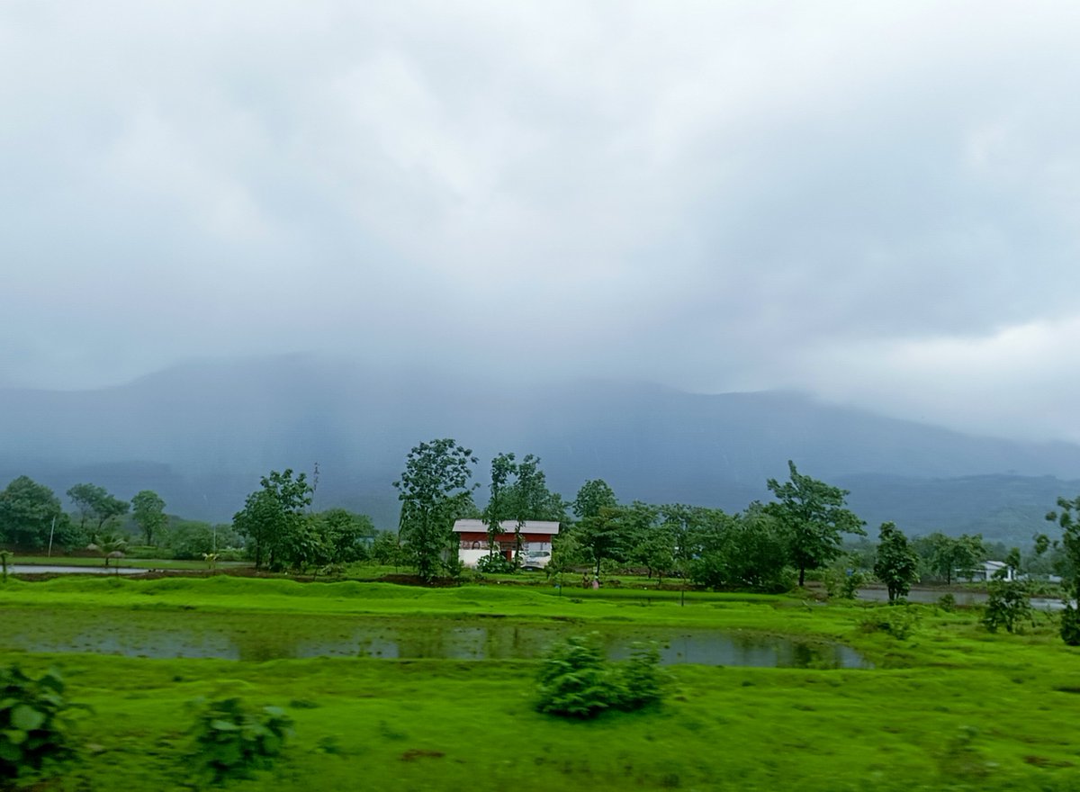 _Radhikadagar's tweet photo. if you're a beach person, the Western Ghats might make you think twice https://t.co/xhiLh1WbeM