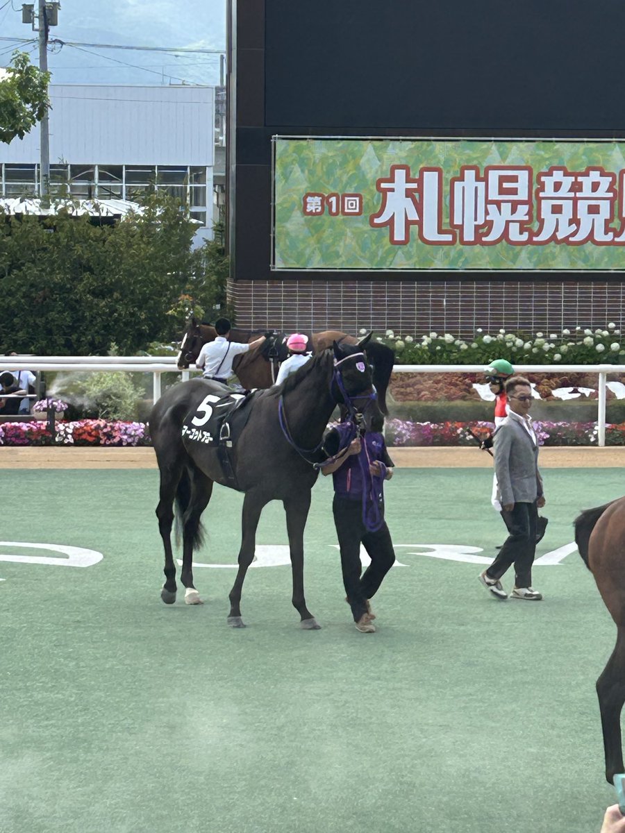 ichiichi53's tweet photo. 今日も札幌競馬場、10Rはマーゴットブローが良く見えました(^^)人気の10番はあまり良く見えませんでした。 https://t.co/vOnCEW7xTI