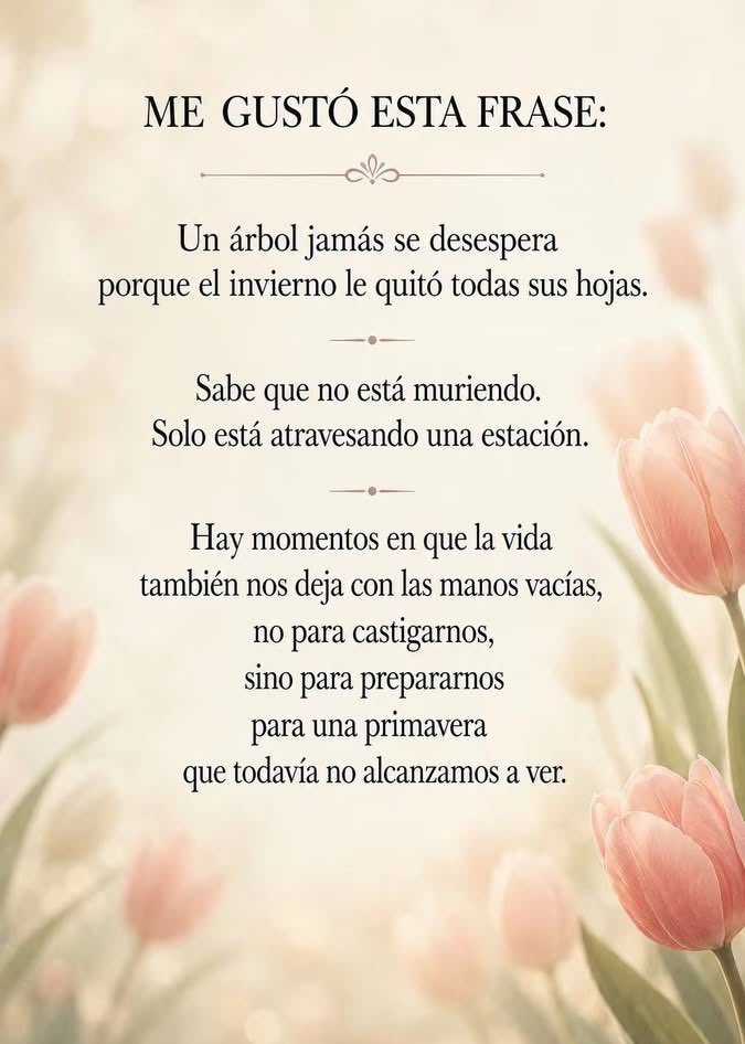 LQuino47372's tweet photo. https://t.co/MIvmez9ZQ8