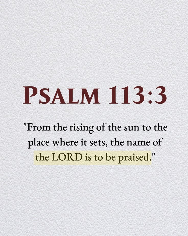 Bible Daily tweet media