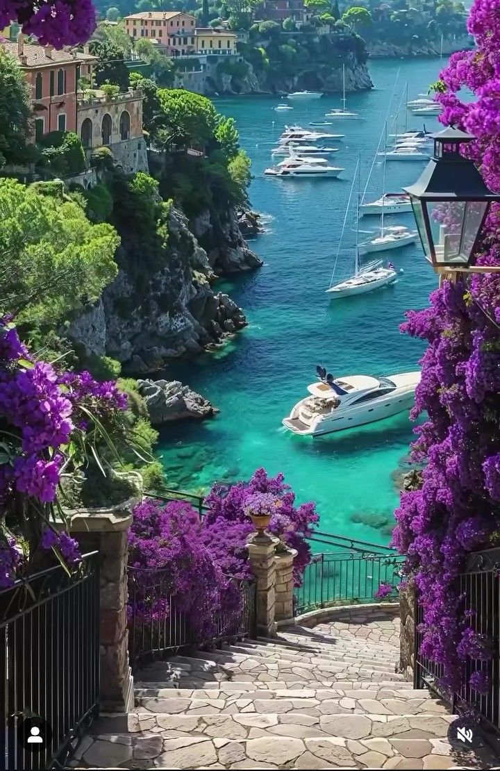 PicUrCountry's tweet photo. Stairs to paradise  French Riviera, France 💜🛥️ https://t.co/SWGYpjkHWE