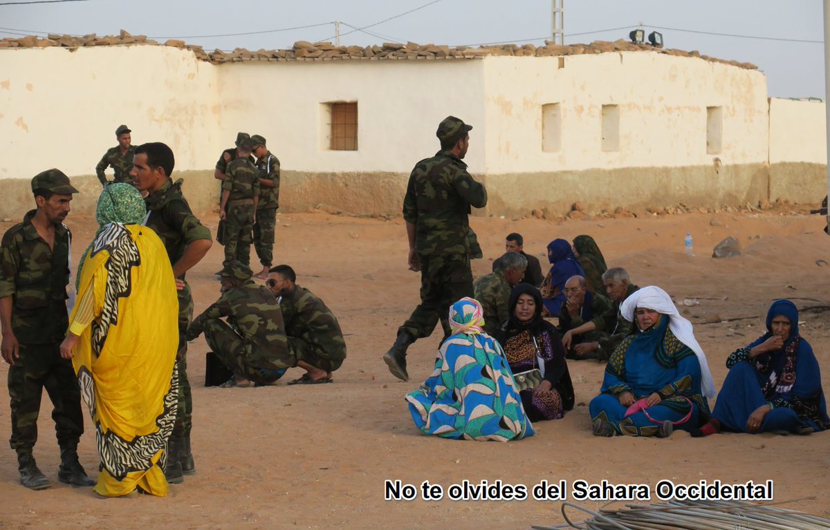 Sahara_1951's tweet photo. 🇪🇭 Una escena de convivencia saharaui: familias, mayores y soldados reunidos con naturalidad.

Quienes llevan el uniforme han salido de las mismas jaimas. Son parte de un pueblo que todavía espera completar su descolonización.

NO TE OLVIDES DEL SÁHARA OCCIDENTAL, ningún día… NUNCA 👍🏼🇪🇭👏🏾