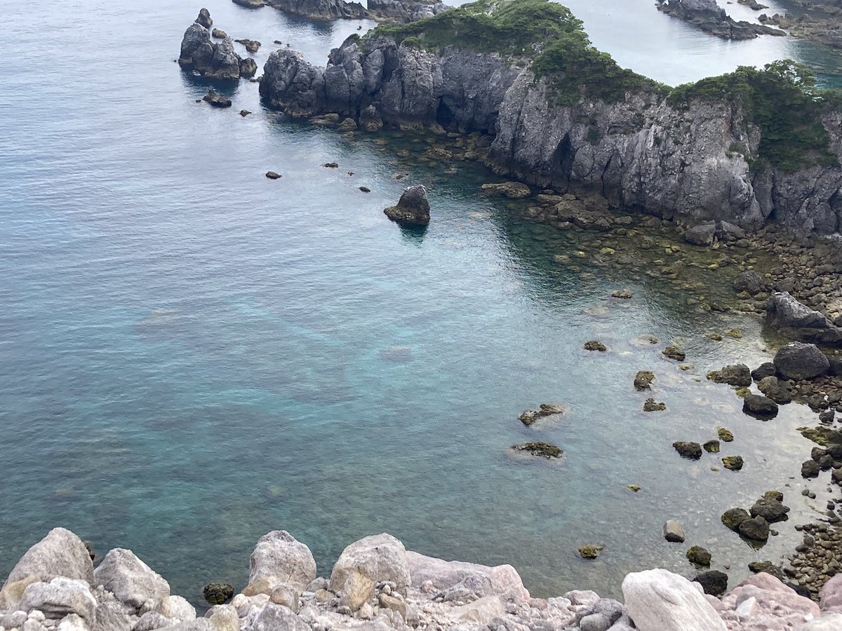 rin_miyazaki's tweet photo. 離島に行ってきました！
めっちゃ海綺麗で魚いっぱいいたよ〜。泳ぎまくりました。船待ってる間に港で海亀さんも撮れました。
温泉は熱くて足湯のみでしたが、レンタルサイクルで疾走するのも気持ち良かった〜☺️
楽しんだ代償に日焼け止め足りなすぎで背中と腕が真っ赤っか。かゆい(>_<)
#式根島 https://t.co/ZhDiW6KILE