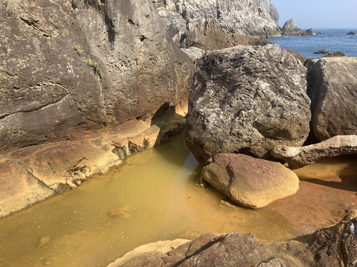 rin_miyazaki's tweet photo. 離島に行ってきました！
めっちゃ海綺麗で魚いっぱいいたよ〜。泳ぎまくりました。船待ってる間に港で海亀さんも撮れました。
温泉は熱くて足湯のみでしたが、レンタルサイクルで疾走するのも気持ち良かった〜☺️
楽しんだ代償に日焼け止め足りなすぎで背中と腕が真っ赤っか。かゆい(>_<)
#式根島 https://t.co/ZhDiW6KILE