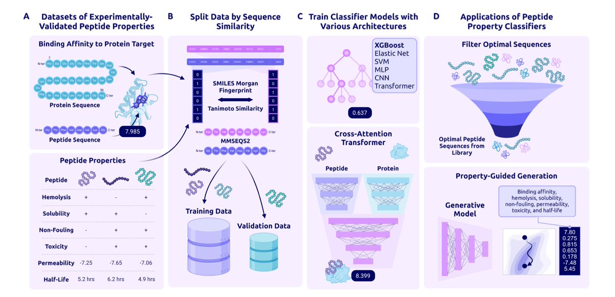 vincent_toxins's tweet photo. A peptide that binds its target is not yet a drug. 

It must also survive long enough, remain soluble, cross the right membrane, avoid haemolysis and nonspecific interactions, and retain activity after chemical modification. 

A new Nature Communications study introduces PeptiVerse, a unified platform that predicts these developability properties from either amino-acid sequences or chemical SMILES, allowing canonical and modified peptides to be evaluated in the same workflow. 

What I find most instructive is not simply the number of predictions, but what the benchmarks reveal about Bio × AI: once the biological representation is strong, simpler models can perform as well as more complex neural architectures, while data coverage often becomes the real bottleneck. 

The study also shows that structural confidence is not binding affinity, ipTM was almost unrelated to experimental peptide–protein affinity. This is an important distinction in an increasingly structure-driven field. 

PeptiVerse should not be viewed as a machine that decides which peptide becomes a medicine; its role is to eliminate weak candidates earlier and make experimental search more rational. 

To me, this is where computational biology creates real value: not replacing medicinal chemistry or pharmacology, but helping them spend experiments on better hypotheses.

Structural confidence tells us whether a complex looks plausible to a model, not whether the molecule will survive as a drug.

Read : https://t.co/FEhcGCePkI