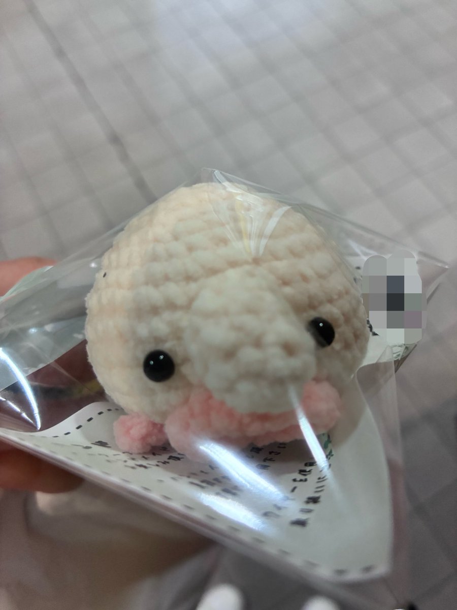 murasakinote16's tweet photo. 推し深海魚のあみぐるみあって思わず買った( ᐛ )ニュウドウカジカだよ。 https://t.co/8CSNlMxDEe