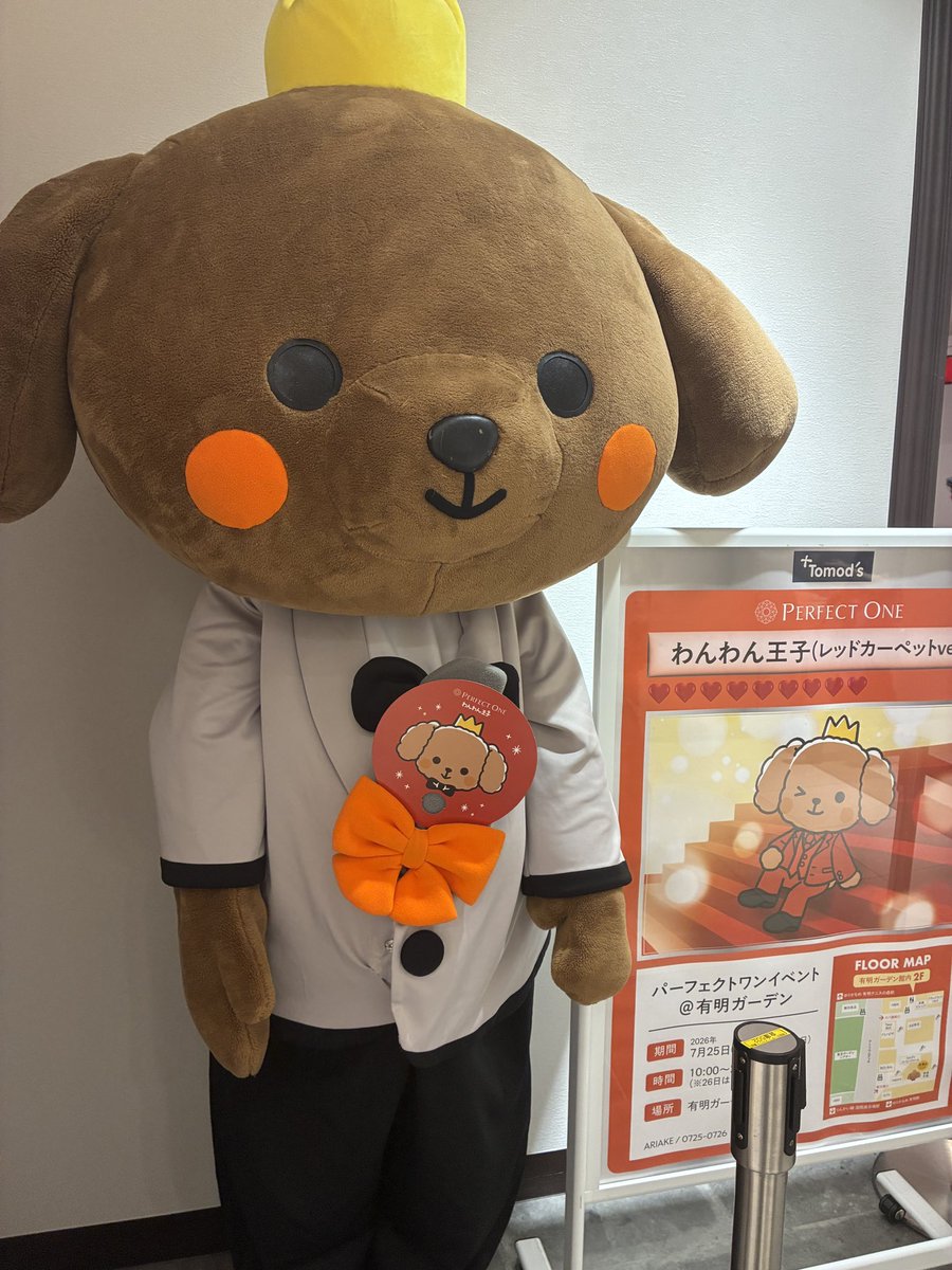 n6__8u's tweet photo. ピント合わない事件🐶
わんわん動くと思ったら動かなかった🥺

#パーフェクトワン20周年　

@PERFECTONE_JP https://t.co/7dRHIb2TYi