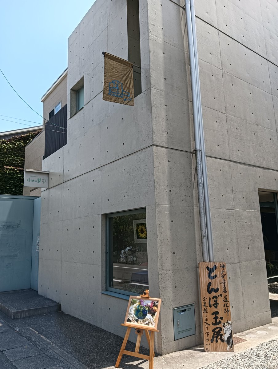 yunkimura2022's tweet photo. 安藤忠雄さんの建築はやっぱり素敵でした。

#小さい芽
#西宮市夙川 https://t.co/17oUso1AXI