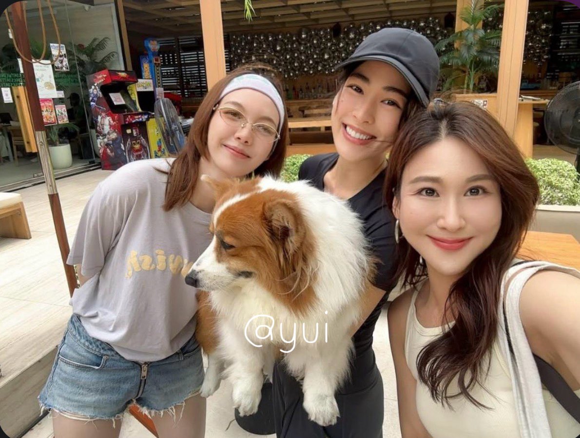 somshogun07's tweet photo. จข ภาพแชร์รูปเพิ่มเติมมาให้ค่ะ 😍🫶🏻
เค้าสวยแต่ รบกวนม่วงอย่าไปรุมจีบเค้านะคะ 🫪🤣
ไม่ดราม่าน้าา ถือว่าเป็นความโชคดีของมักเกิ้ลท่านนึงละกันนะค้าา 🙏🙏 https://t.co/BUhVqEr38M