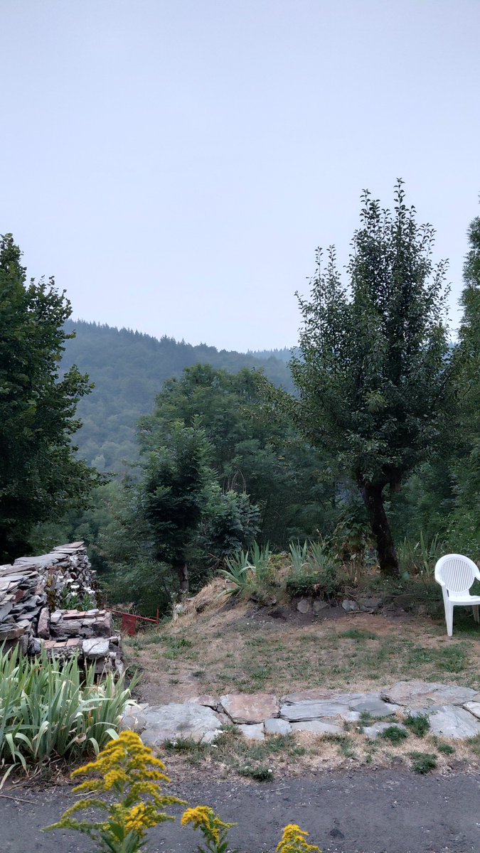 alise48's tweet photo. @cynorrhodons Ici à 500 km des feux en #Lozère .
Odeur et brouillard.
Sur le moment nous n'avons pas pensé à la Gironde (On est très cernés par les résineux.)
Soutien à ceux qui combattent cet incendie et à ceux qui ont du fuir! https://t.co/IF9bVmaAhG