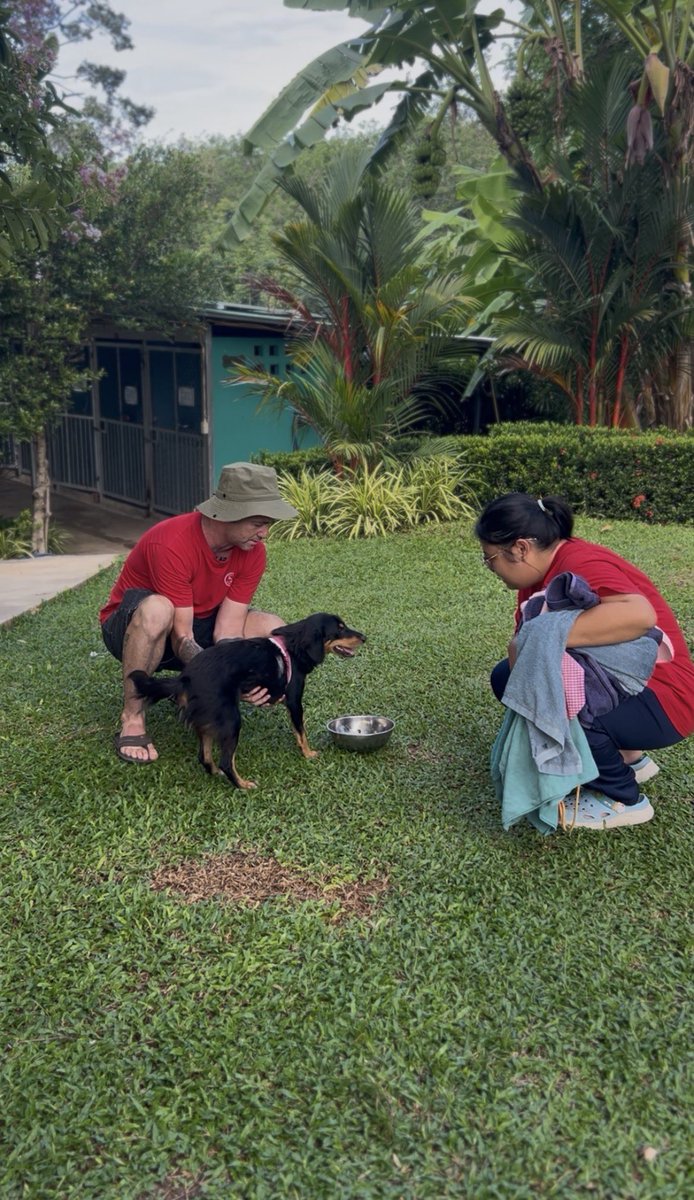 Happy Doggo Thailand tweet media