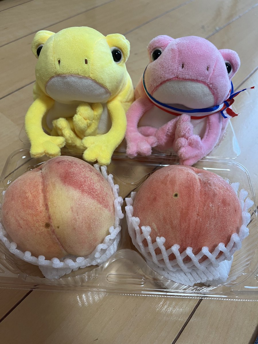 PistacioF's tweet photo. ことちも🍑🍑もも🍑🍑ごつこ https://t.co/SUrkR4udpk