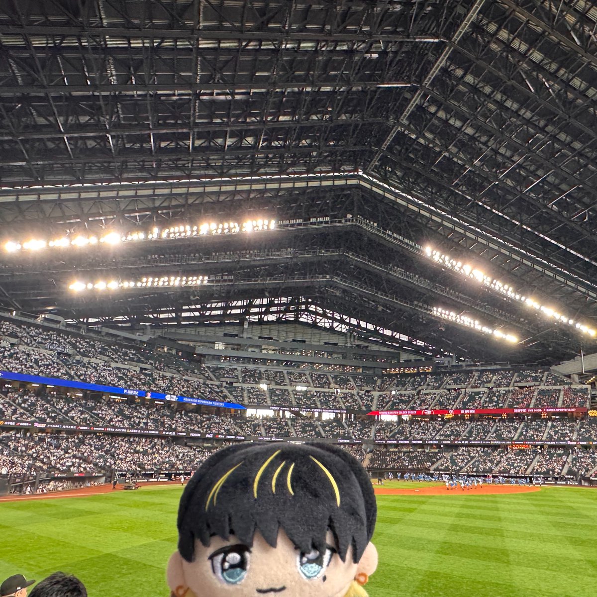 4_ling_4's tweet photo. 大夢くん、エスコンフィールドだよ。外野に降り立つ大夢くんの化身( ¨̮ ) https://t.co/zyh6WJDmbF