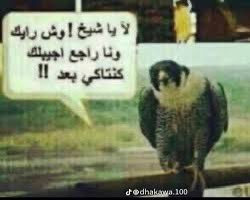 mustakeen_3ziz's tweet photo. https://t.co/5aVwDiCoAy