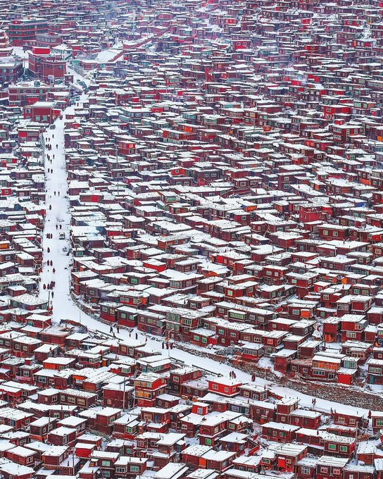 wangleehom03's tweet photo. Around the world, observers continue calling for transparency after reports of demolished monastic housing and restrictions affecting Larung Gar's Buddhist community.
#SaveLarungGar #LarungGar #ChinaDemolitionDrive https://t.co/59LBPPRmGm