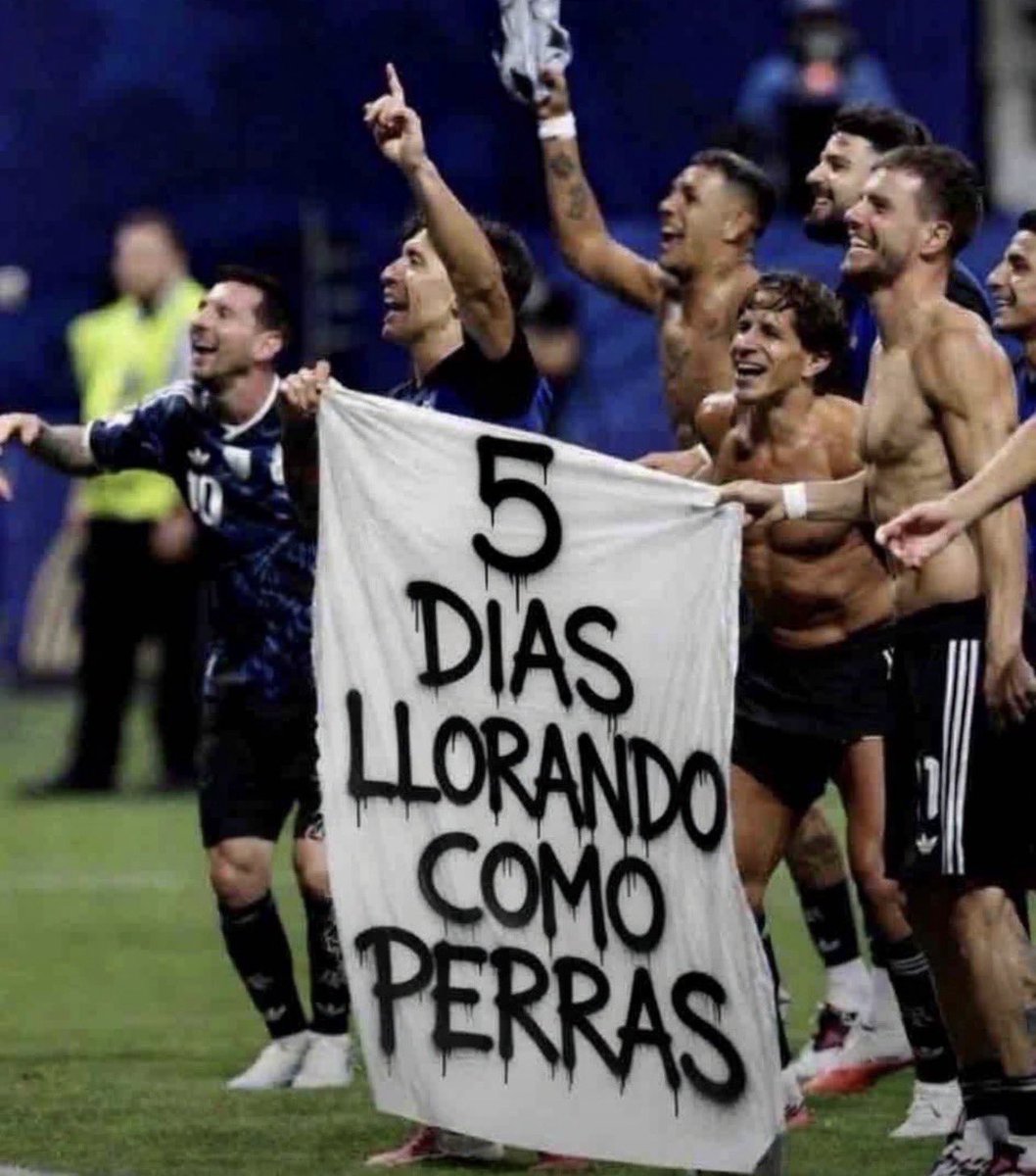 Lalo meneses tweet media