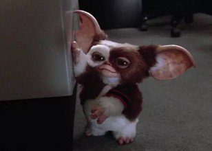 return_of10845's tweet photo. Gremlins 3 is a go and dropping on
November 19,2027
there's growing speculation that 
original Gremlins leads 
Zach Galligan and Phoebe Cates
could reprise their roles as 
Billy and Kate https://t.co/X0dKcm4lKJ
