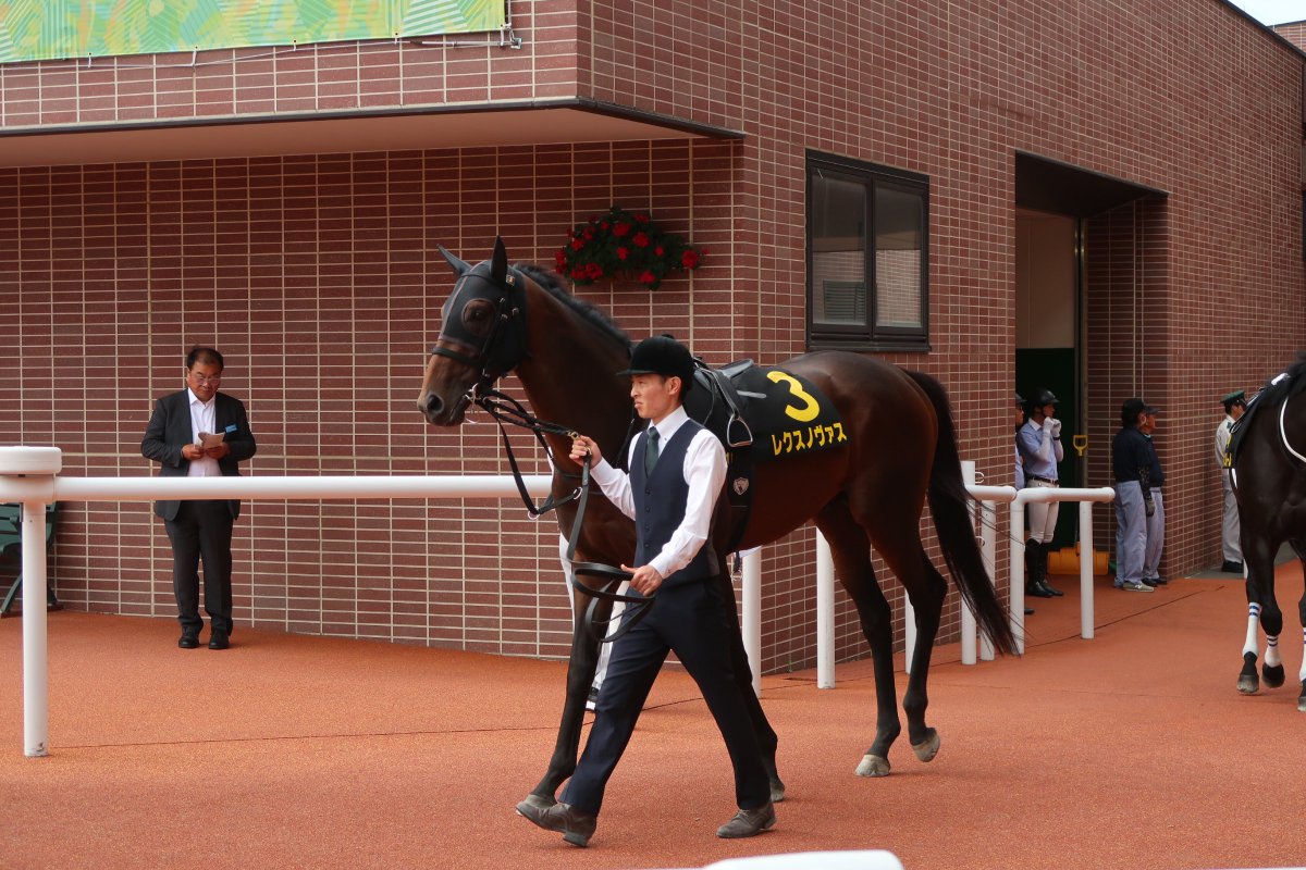dshisan's tweet photo. 本日のJRAメインレース

札幌日経賞
◎ミラージュナイト
◯レクスノヴァス
今年はいつメン長距離ベテラン勢よりもいきのいい4歳馬が台頭しそうな予感

東海S
◎マテンロウコマンド
◯ドンインザムード

関屋記念
◎ランスオブカオス
◯ファーヴェント
▲シリウスコルト

#札幌日経賞
#東海S
#関屋記念 https://t.co/BBf1Bch303