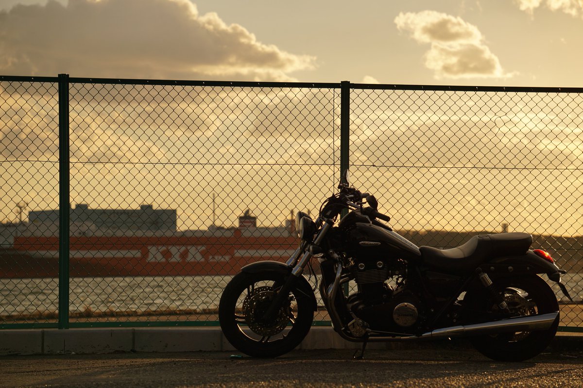 gKL6D2L64pM5BTd's tweet photo. #バイクは横から見た時が最高
#TRIUMPH
#THUNDERBIRDSTORM https://t.co/moGCkfemoK