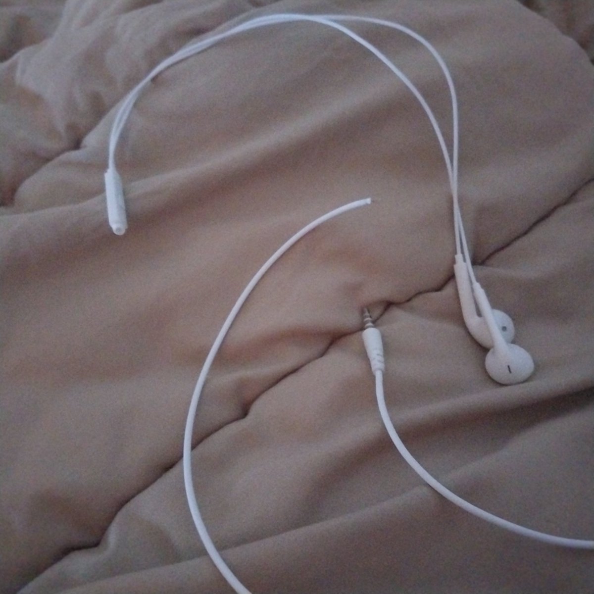 c4di_14's tweet photo. im so glad they got dismembered i can buy new ones now💗 https://t.co/iqVOfosSYa