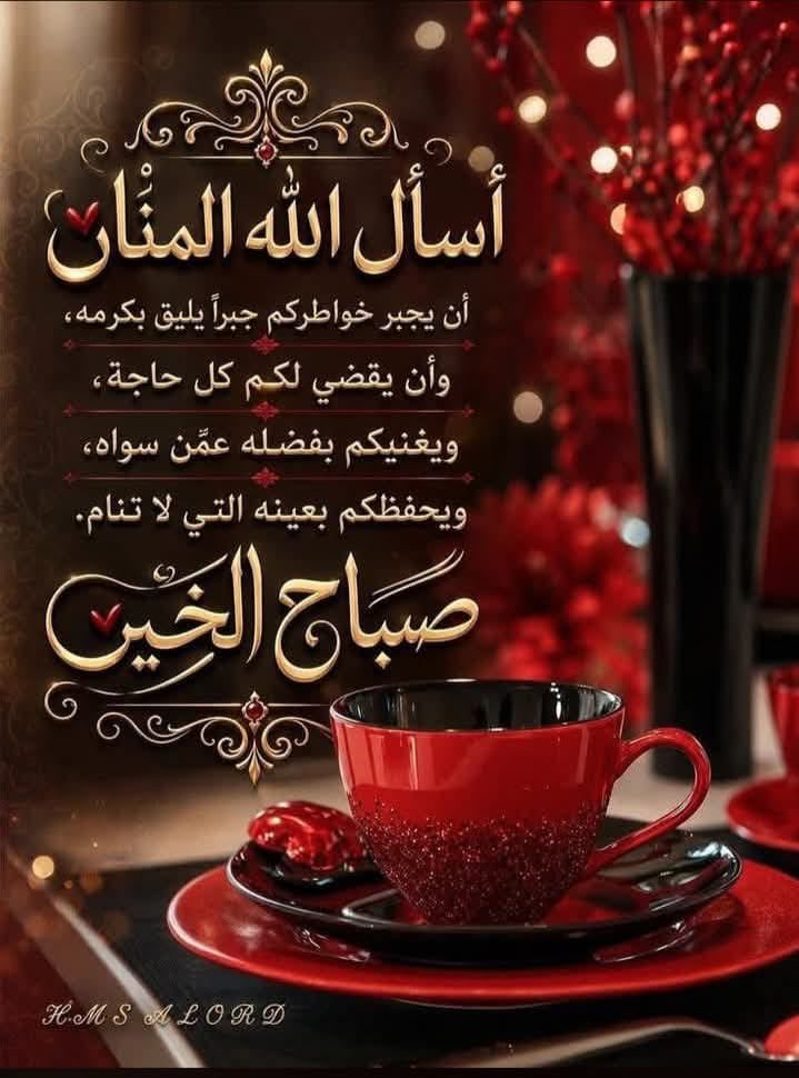 haassn23's tweet photo. https://t.co/HfzCmhvlmc
